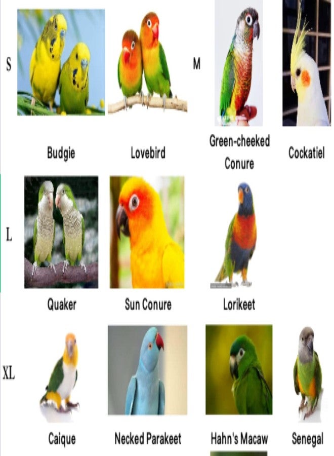 Barn Eleven Pet Parrot Bird Harness Leash Adjustable Bird Flying Harness Traction Rope with Cute Wing for Parrots Pigeons Budgerigar Lovebird Cockatiel Mynah Outdoor Training Toy (S, Blue) - Image 2